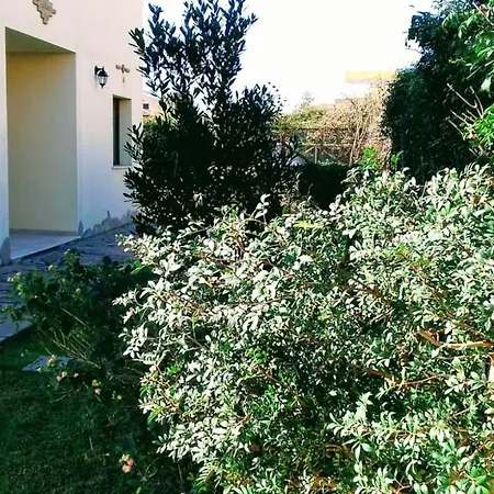 Menta Fiorita Flumini di Quartu